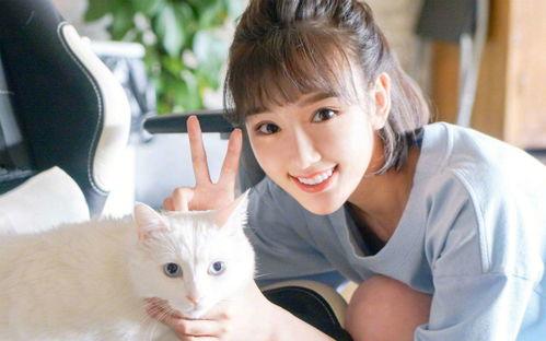 毛晓彤每日吃瓜会视频,每日吃瓜会带你探秘明星生活