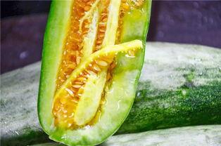 清香吃瓜的视频,夏日美味尽享