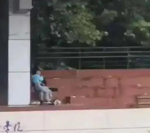 南洋学校吃瓜事件视频,校园风波背后的真相揭秘