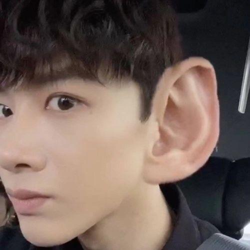 表情包沙雕吃瓜视频大全,盘点搞笑表情包视频大全