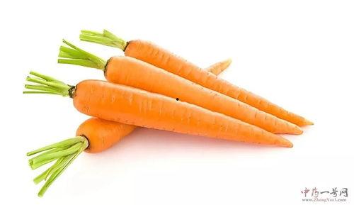 吃瓜少女胡萝卜视频,一场美食与娱乐的跨界盛宴