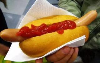 四川宜家吃瓜视频,一场引发网友热议的美食狂欢